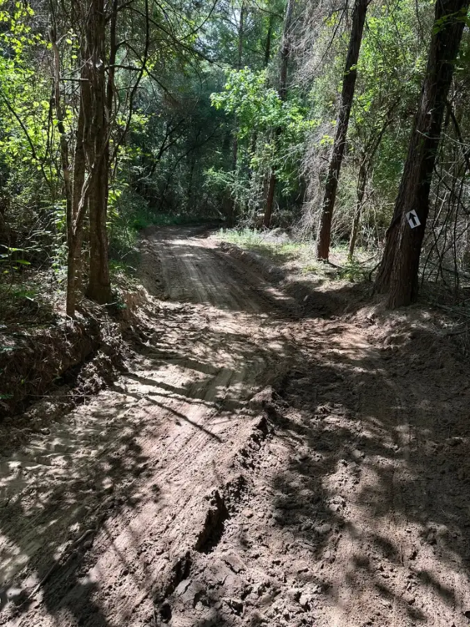 Leesville Motorsports Park photo 4