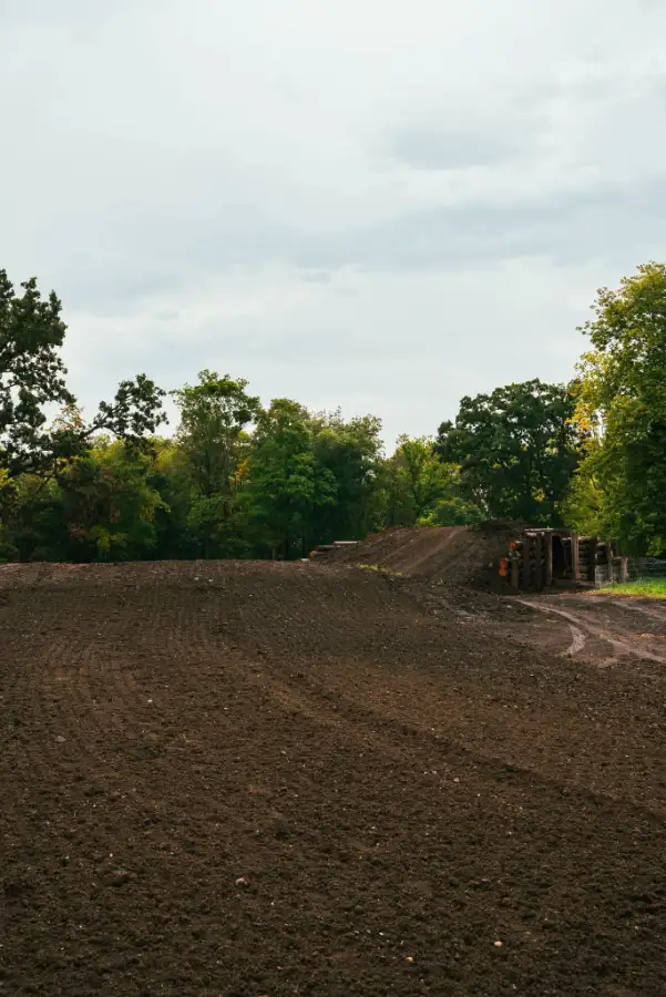 FDMX photo 1