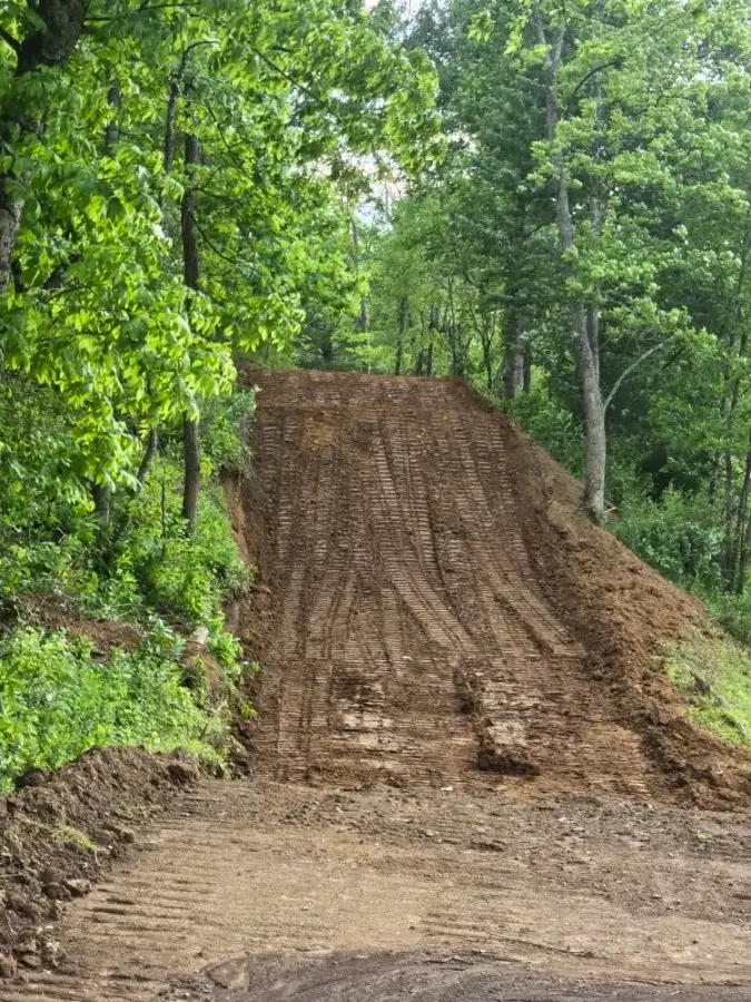 Walnut Tree MX photo 1