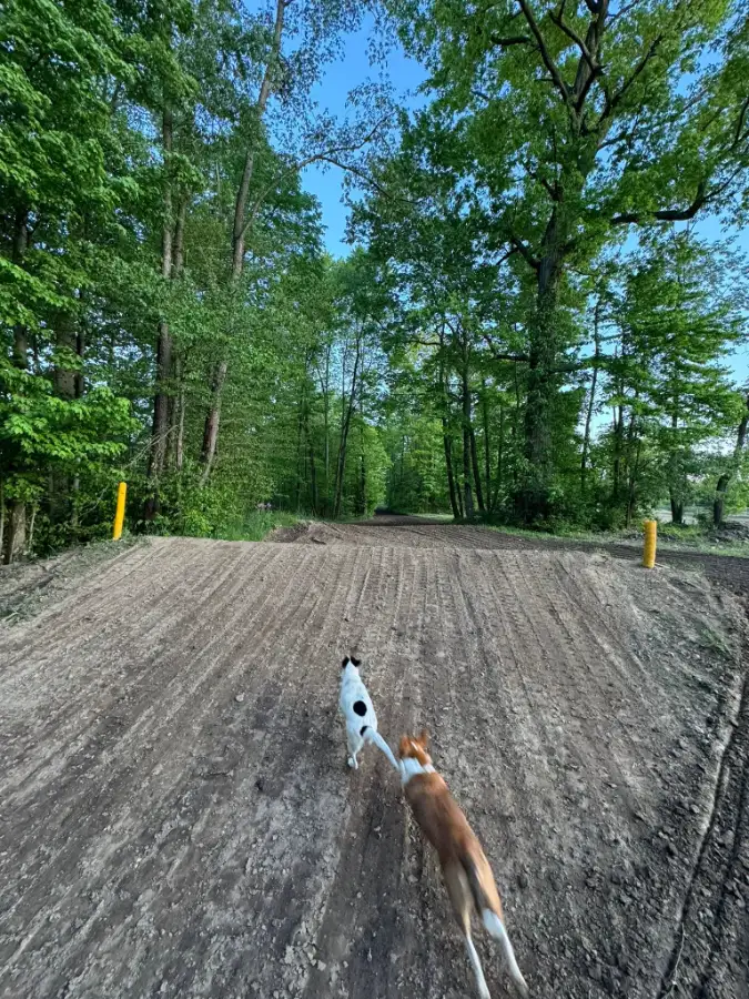 Big Game Raceway photo 4