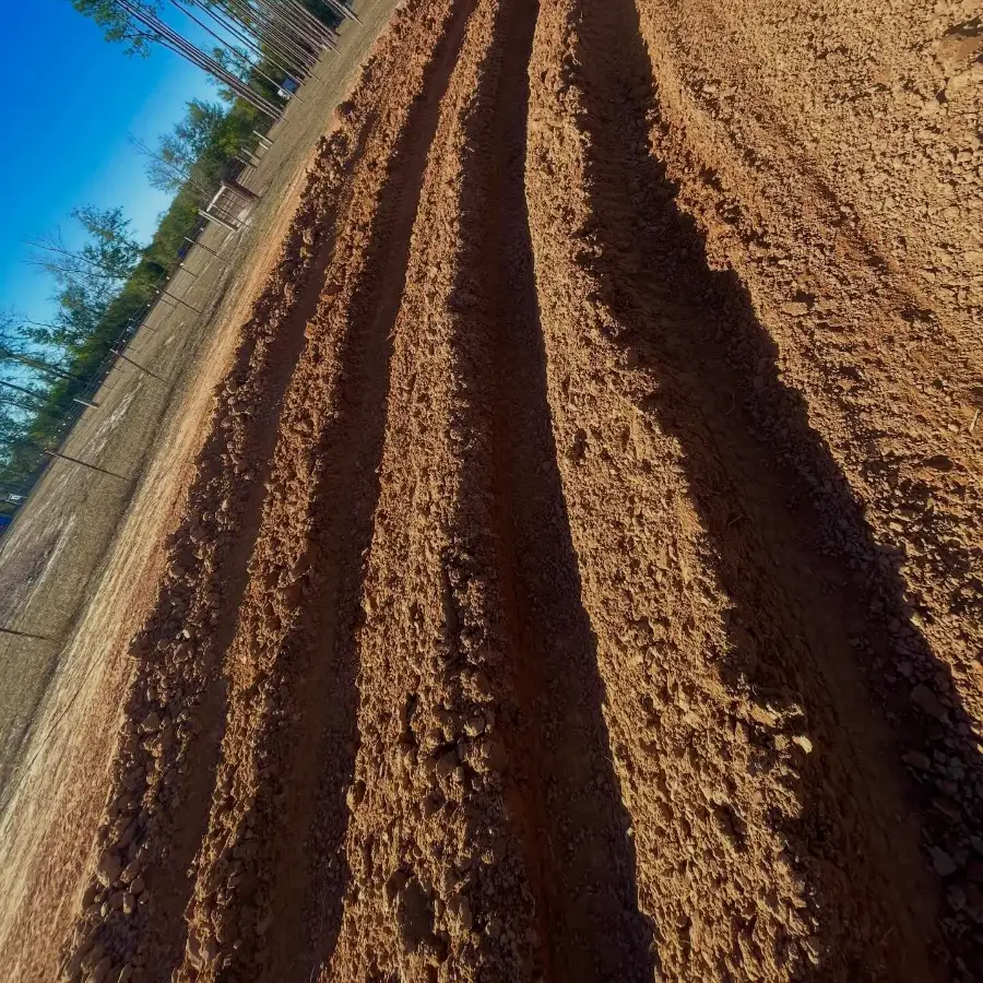Sunshine State MX photo 3