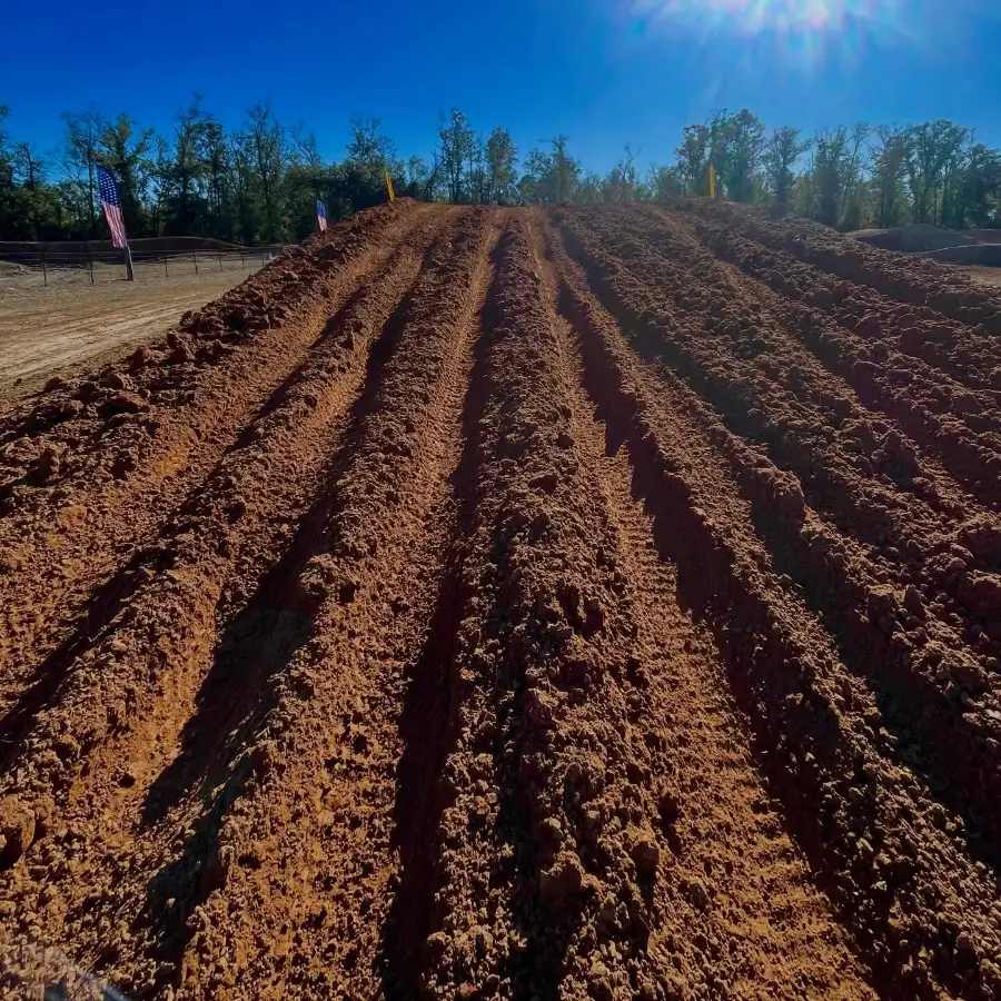 Sunshine State MX photo 4