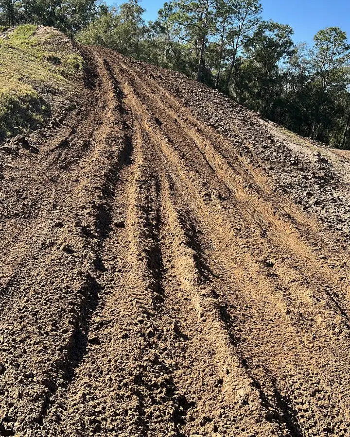 Future MX photo 2