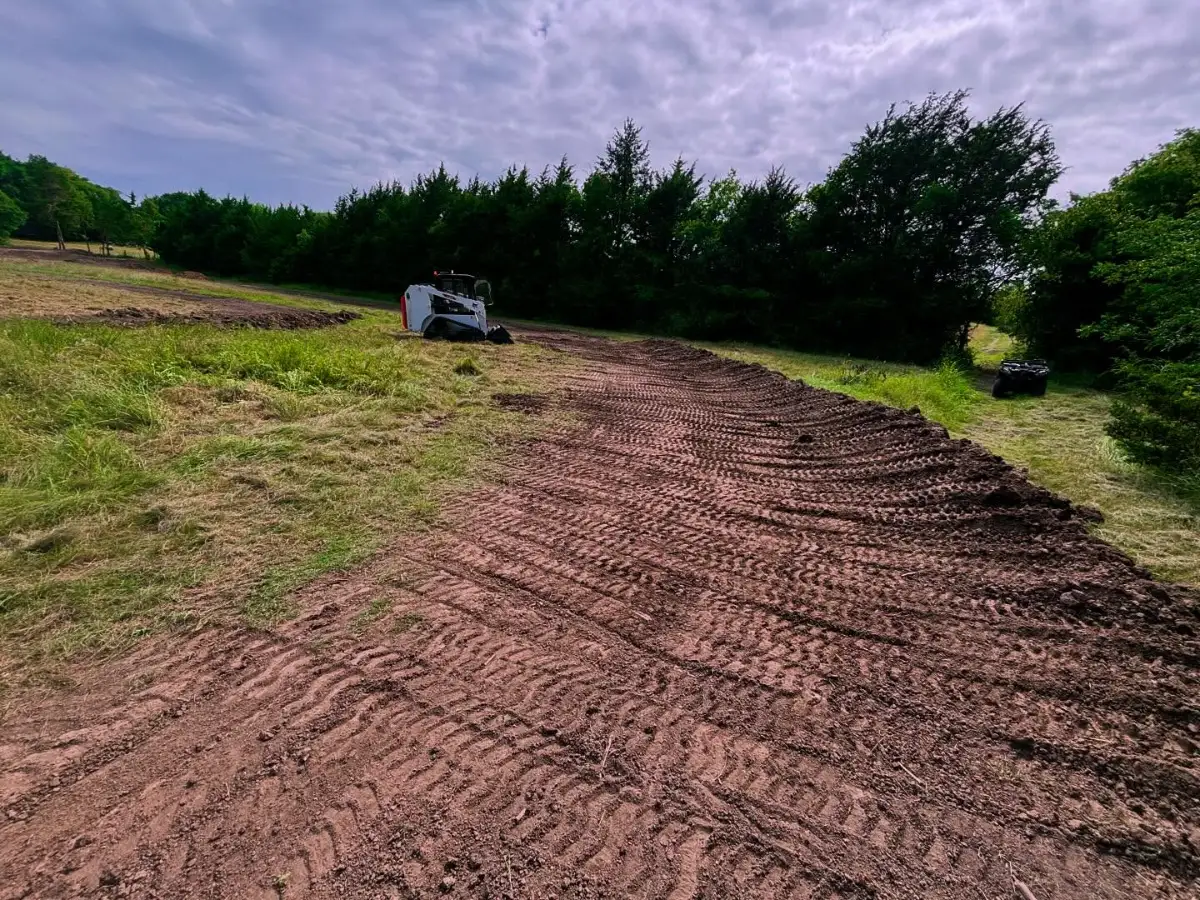 546 MX photo 1