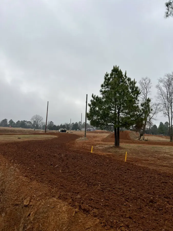 Wolf Bayou MX photo 3